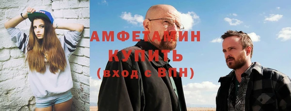 гидра Вяземский